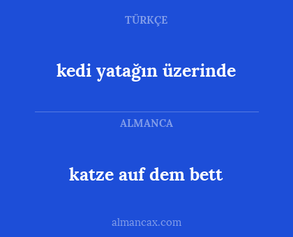 kedi yatağın üzerinde - katze auf dem bett