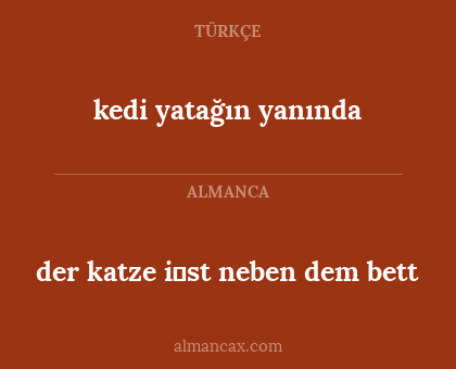 kedi yatağın yanında - der katze i̇st neben dem bett