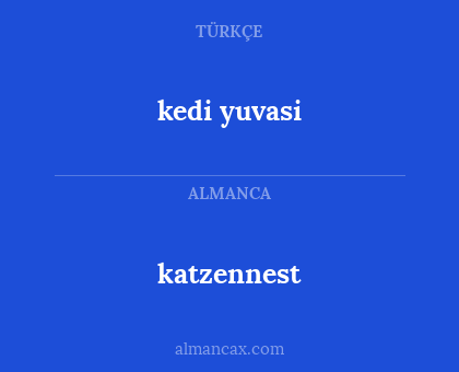 katzennest - kedi yuvasi