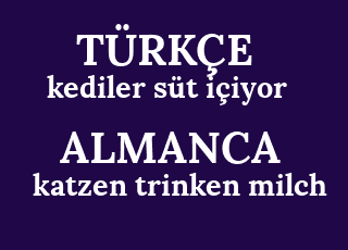 kediler+s%C3%BCt+i%C3%A7iyor-katzen+trinken+milch.png