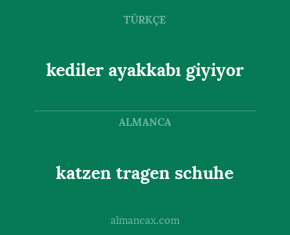 kediler ayakkabı giyiyor - katzen tragen schuhe