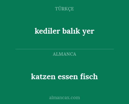 katzen essen fisch - kediler balık yer