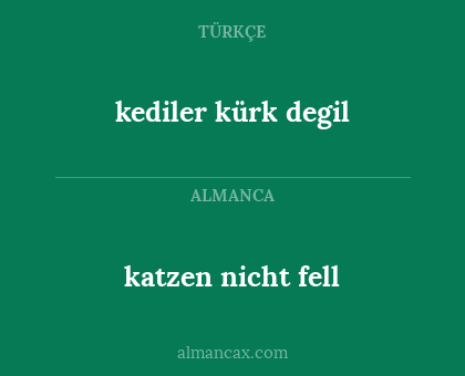 kediler kürk degil - katzen nicht fell