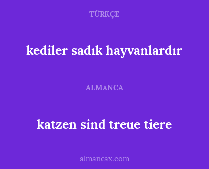 kediler sadık hayvanlardır - katzen sind treue tiere