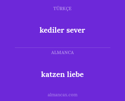 kediler sever - katzen liebe