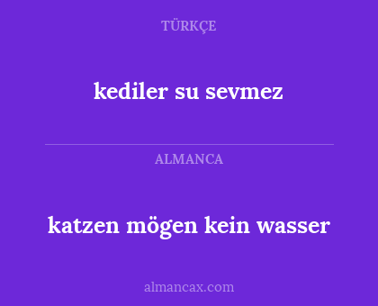 kediler su sevmez - katzen mögen kein wasser