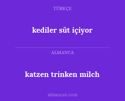 katzen trinken milch - kediler süt içiyor