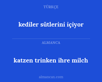 katzen trinken ihre milch - kediler sütlerini içiyor