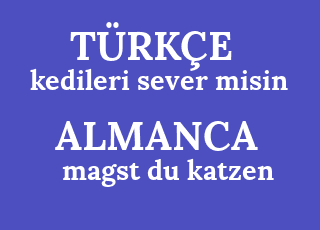 kedileri+sever+misin-magst+du+katzen.png