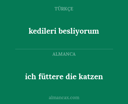 kedileri besliyorum - ich füttere die katzen