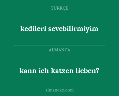 kann ich katzen lieben? - kedileri sevebilirmiyim