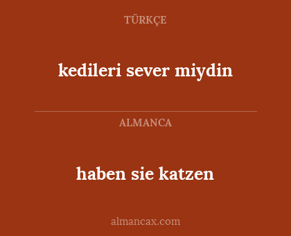 kedileri sever miydin - haben sie katzen