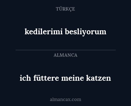 ich füttere meine katzen - kedilerimi besliyorum