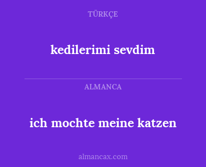 kedilerimi sevdim - ich mochte meine katzen