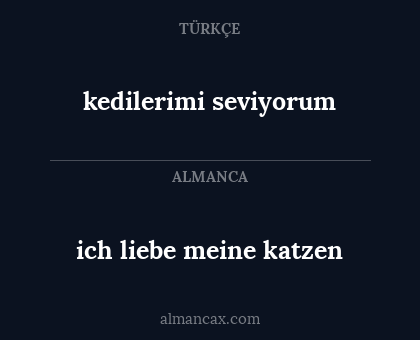 kedilerimi seviyorum - ich liebe meine katzen
