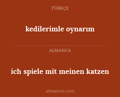 kedilerimle oynarım - ich spiele mit meinen katzen