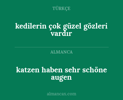 katzen haben sehr schöne augen - kedilerin çok güzel gözleri vardır