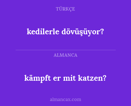 kedilerle dövüşüyor? - kämpft er mit katzen?