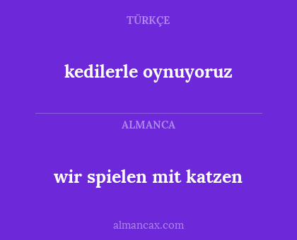 kedilerle oynuyoruz - wir spielen mit katzen