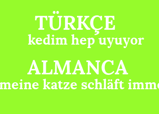 kedim+hep+uyuyor-meine+katze+schl%C3%A4ft+immer.png