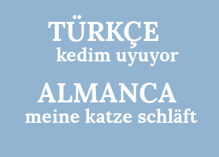 kedim+uyuyor-meine+katze+schl%C3%A4ft.png