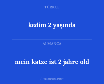 mein katze ist 2 jahre old - kedim 2 yaşında