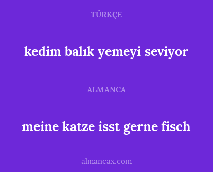 meine katze isst gerne fisch - kedim balık yemeyi seviyor