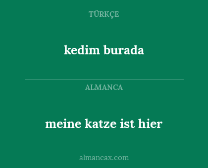 meine katze ist hier - kedim burada