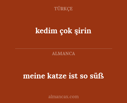 meine katze ist so süß - kedim çok şirin