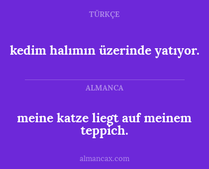 kedim halımın üzerinde yatıyor. - meine katze liegt auf meinem teppich.