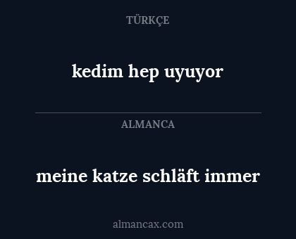 meine katze schläft immer - kedim hep uyuyor