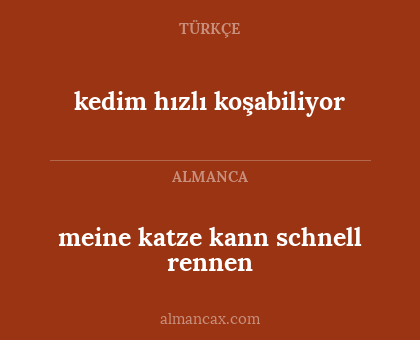 meine katze kann schnell rennen - kedim hızlı koşabiliyor