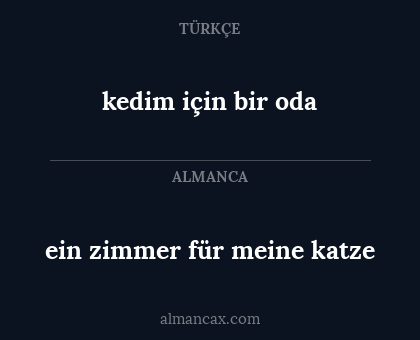 ein zimmer für meine katze - kedim için bir oda