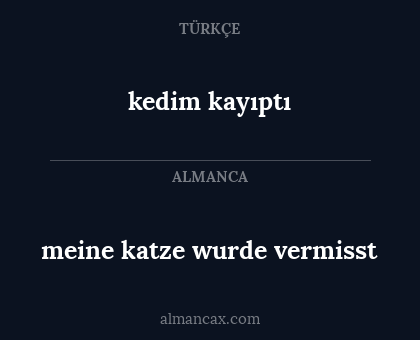 meine katze wurde vermisst - kedim kayıptı