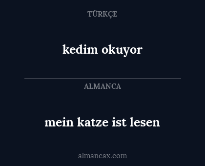 kedim okuyor - mein katze ist lesen