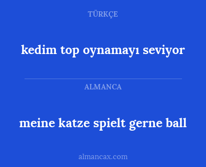 meine katze spielt gerne ball - kedim top oynamayı seviyor