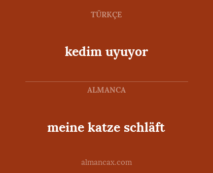 meine katze schläft - kedim uyuyor