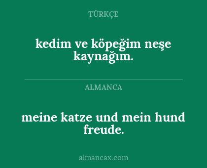 kedim ve köpeğim neşe kaynağım. - meine katze und mein hund freude.