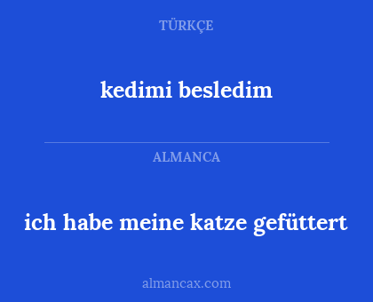 kedimi besledim - ich habe meine katze gefüttert
