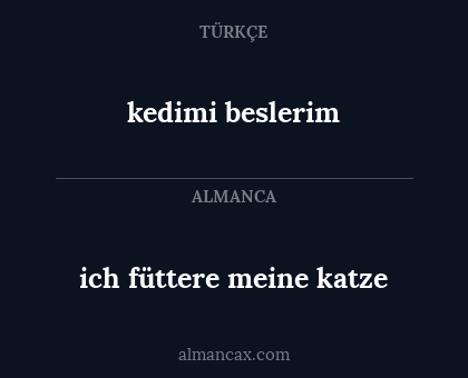 ich füttere meine katze - kedimi beslerim