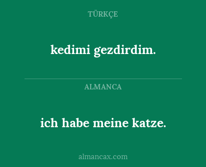 kedimi gezdirdim. - ich habe meine katze.