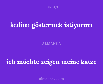 ich möchte zeigen meine katze - kedimi göstermek istiyorum