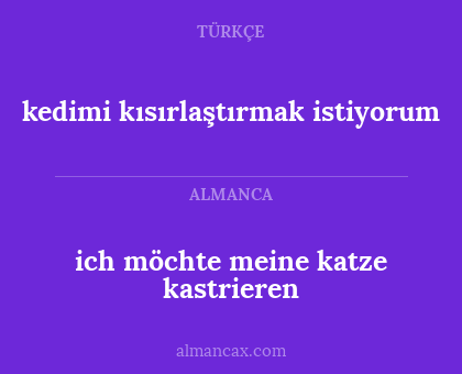ich möchte meine katze kastrieren - kedimi kısırlaştırmak istiyorum