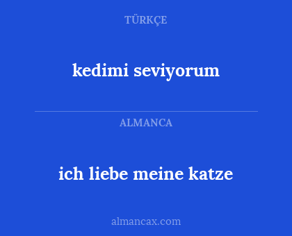 kedimi seviyorum - ich liebe meine katze