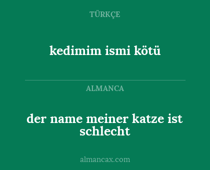 kedimim ismi kötü - der name meiner katze ist schlecht
