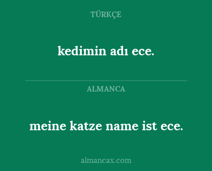 kedimin adı ece. - meine katze name ist ece.
