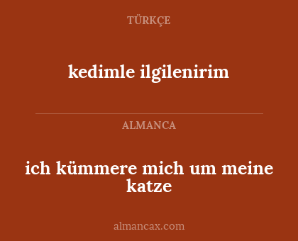ich kümmere mich um meine katze - kedimle ilgilenirim