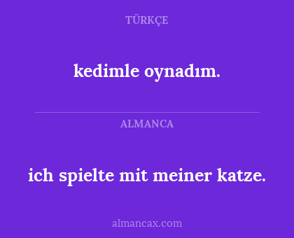 kedimle oynadım. - ich spielte mit meiner katze.