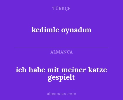 kedimle oynadım - ich habe mit meiner katze gespielt