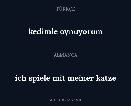 ich spiele mit meiner katze - kedimle oynuyorum